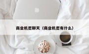 商业机密聊天（商业机密有什么）