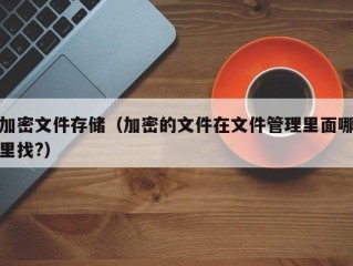加密文件存储（加密的文件在文件管理里面哪里找?）