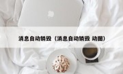 消息自动销毁（消息自动销毁 动图）