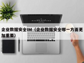 企业数据安全IM（企业数据安全哪一方面更加重要）
