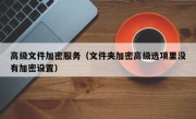 高级文件加密服务（文件夹加密高级选项里没有加密设置）