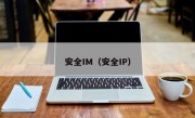 安全IM（安全IP）