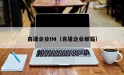 自建企业IM（自建企业邮箱）