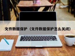 文件数据保护（文件数据保护怎么关闭）