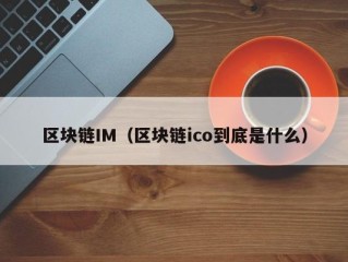 区块链IM（区块链ico到底是什么）