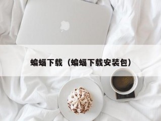 蝙蝠下载（蝙蝠下载安装包）