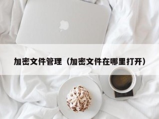 加密文件管理（加密文件在哪里打开）