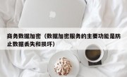 商务数据加密（数据加密服务的主要功能是防止数据丢失和损坏）