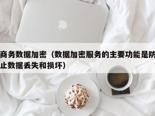 商务数据加密（数据加密服务的主要功能是防止数据丢失和损坏）