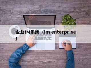 企业IM系统（im enterprise）