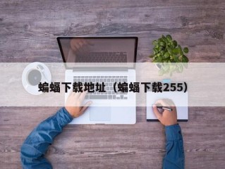 蝙蝠下载地址（蝙蝠下载255）