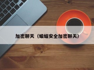 加密聊天（蝙蝠安全加密聊天）