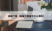 蝙蝠下载（蝙蝠下载是干什么用的）