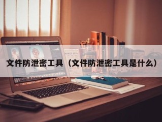 文件防泄密工具（文件防泄密工具是什么）