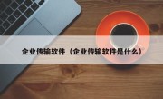 企业传输软件（企业传输软件是什么）