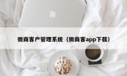 微商客户管理系统（微商客app下载）