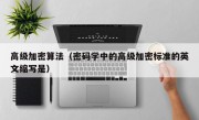 高级加密算法（密码学中的高级加密标准的英文缩写是）