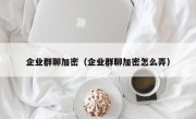 企业群聊加密（企业群聊加密怎么弄）
