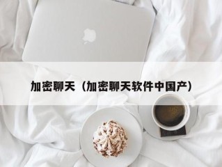 加密聊天（加密聊天软件中国产）