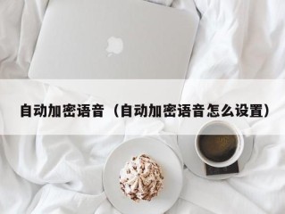 自动加密语音（自动加密语音怎么设置）