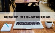 数据隐私保护（关于隐私保护数据处理原则）