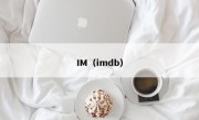 IM（imdb）