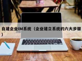 自建企业IM系统（企业建立系统的六大步骤）