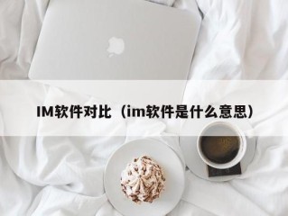 IM软件对比（im软件是什么意思）