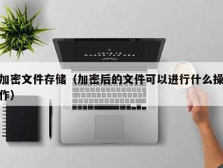 加密文件存储（加密后的文件可以进行什么操作）