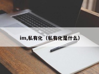 im,私有化（私有化是什么）