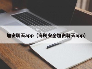 加密聊天app（海鸥安全加密聊天app）