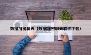 数据加密聊天（数据加密聊天软件下载）