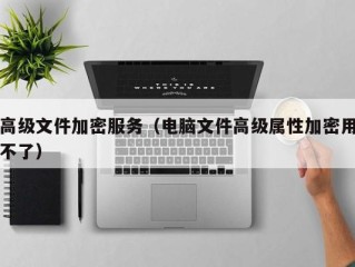 高级文件加密服务（电脑文件高级属性加密用不了）