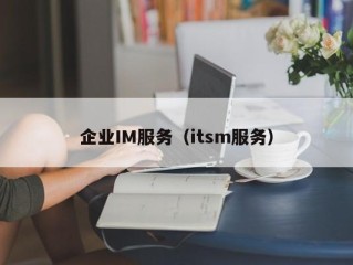 企业IM服务（itsm服务）