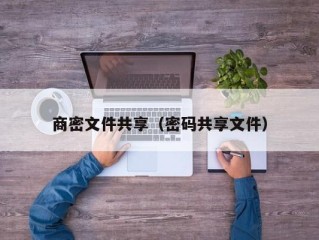 商密文件共享（密码共享文件）
