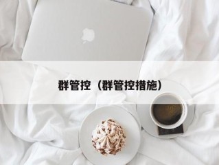 群管控（群管控措施）