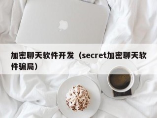 加密聊天软件开发（secret加密聊天软件骗局）