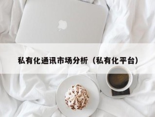 私有化通讯市场分析（私有化平台）