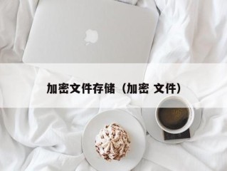 加密文件存储（加密 文件）