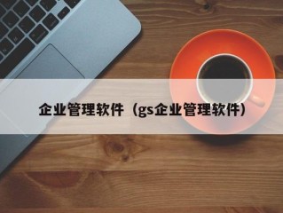 企业管理软件（gs企业管理软件）