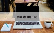 密聊（密聊是什么）
