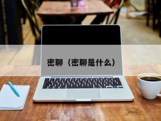 密聊（密聊是什么）