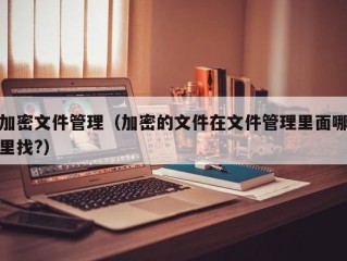 加密文件管理（加密的文件在文件管理里面哪里找?）