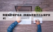 数据加密保护技术（数据加密属于什么保护技术）