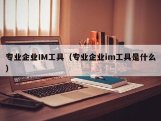 专业企业IM工具（专业企业im工具是什么）