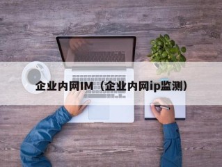 企业内网IM（企业内网ip监测）