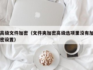 高级文件加密（文件夹加密高级选项里没有加密设置）