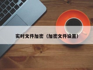 实时文件加密（加密文件设置）
