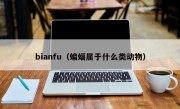 bianfu（蝙蝠属于什么类动物）