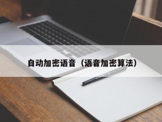 自动加密语音（语音加密算法）